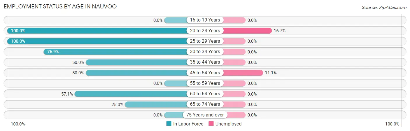 Employment Status by Age in Nauvoo