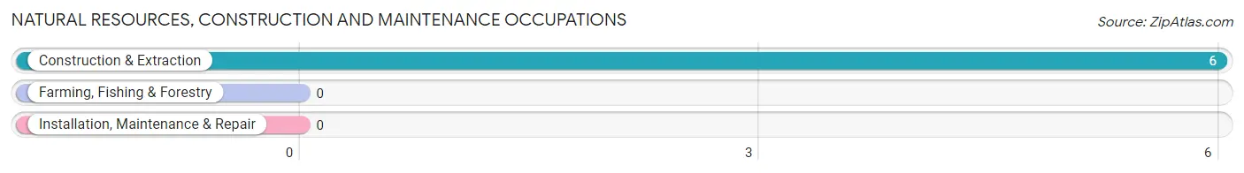 Natural Resources, Construction and Maintenance Occupations in Nauvoo