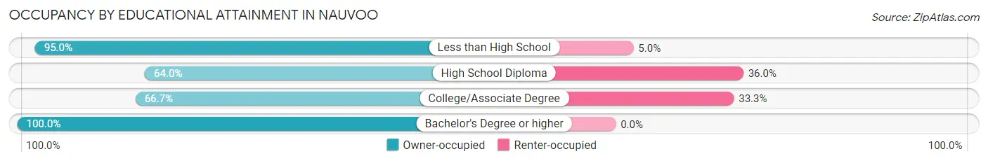 Occupancy by Educational Attainment in Nauvoo