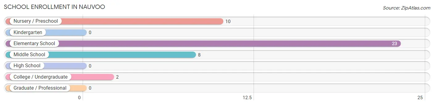 School Enrollment in Nauvoo