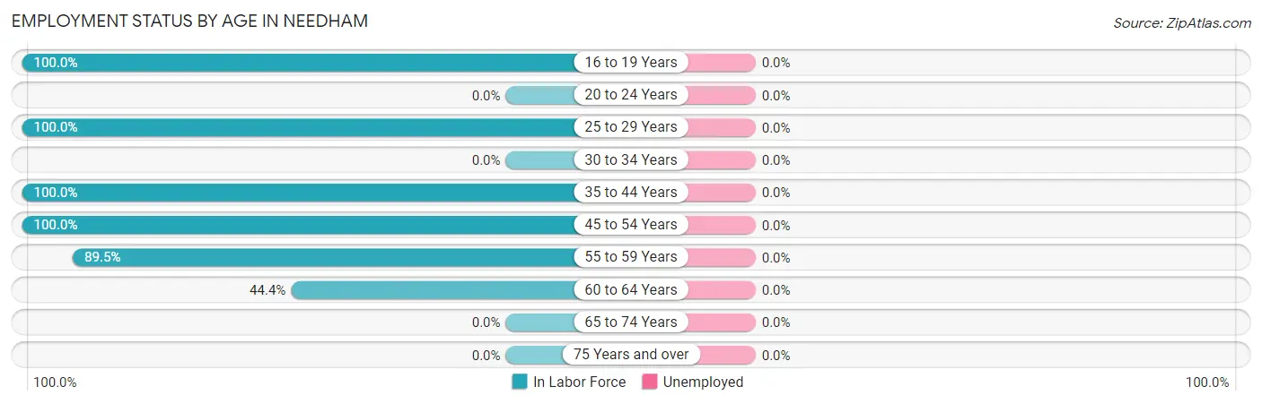 Employment Status by Age in Needham