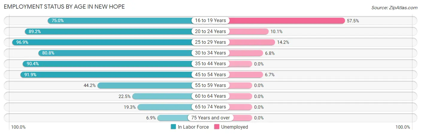 Employment Status by Age in New Hope