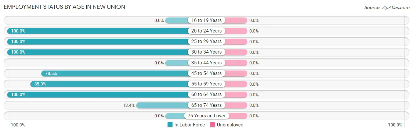 Employment Status by Age in New Union