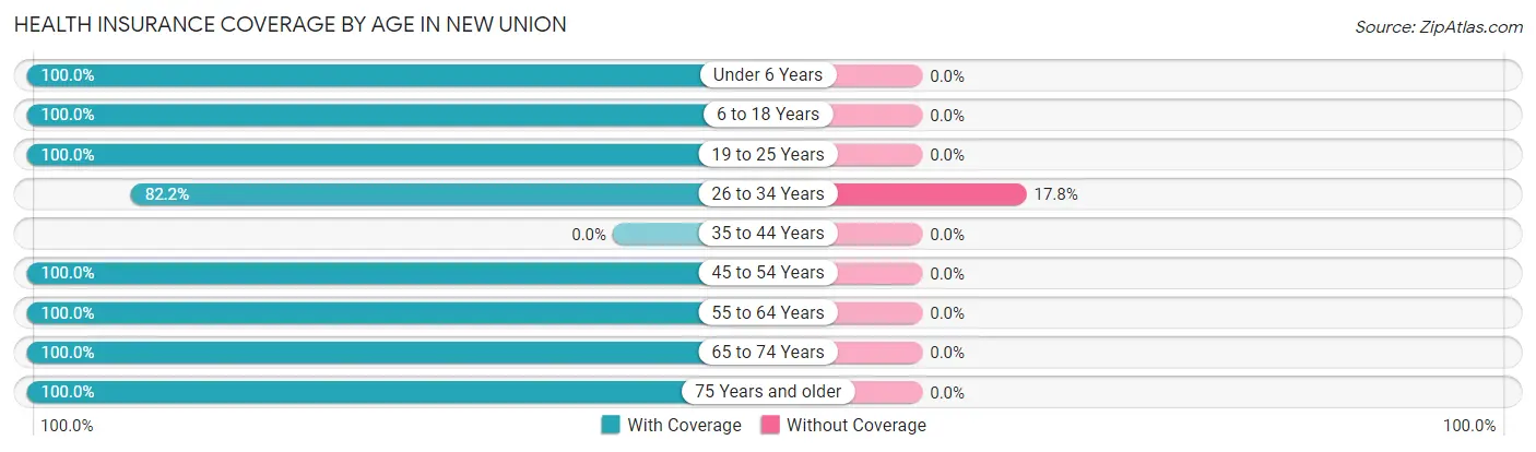 Health Insurance Coverage by Age in New Union