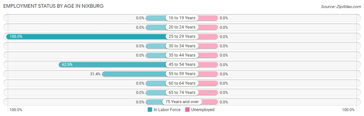 Employment Status by Age in Nixburg