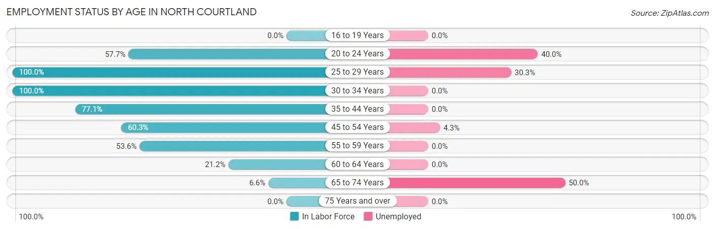 Employment Status by Age in North Courtland