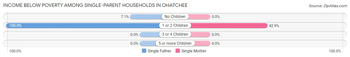 Income Below Poverty Among Single-Parent Households in Ohatchee