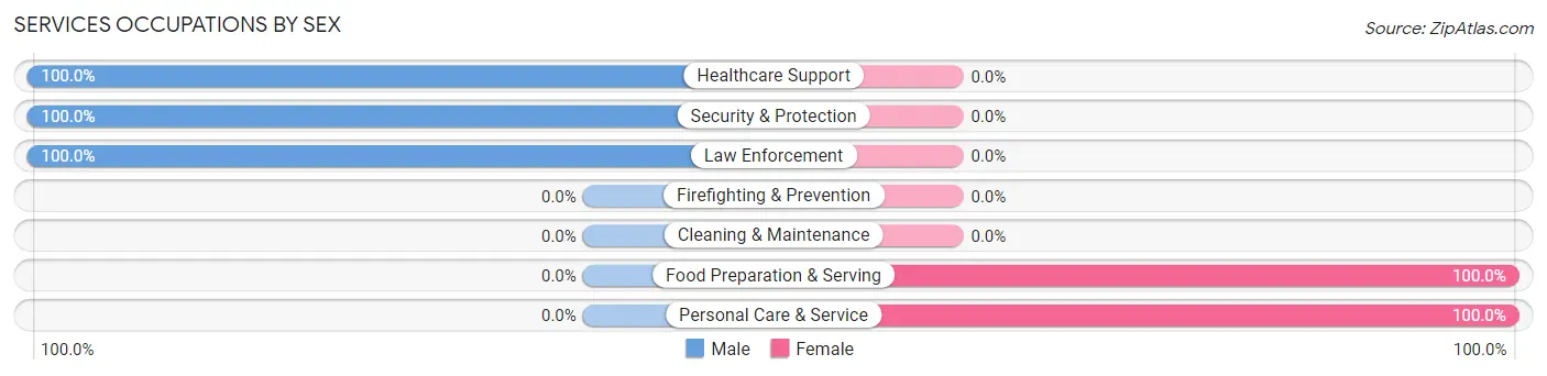 Services Occupations by Sex in Paint Rock