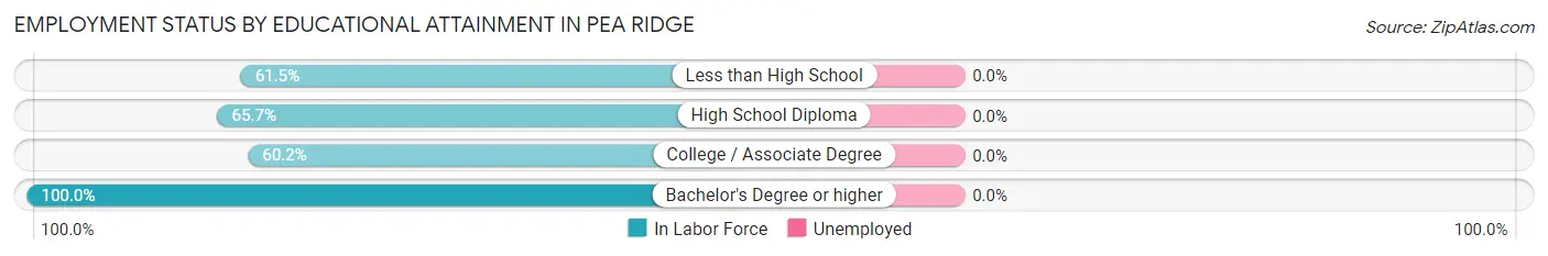 Employment Status by Educational Attainment in Pea Ridge