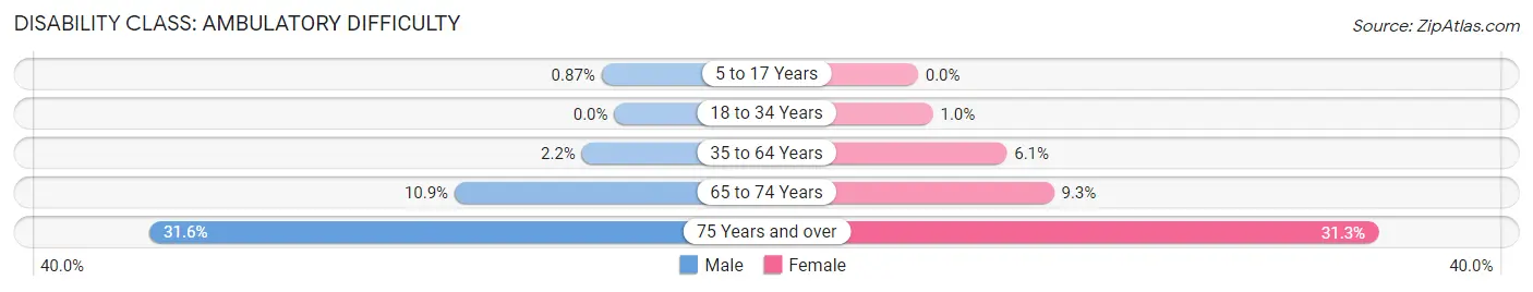 Disability in Pelham: <span>Ambulatory Difficulty</span>