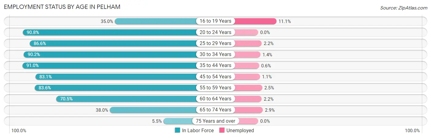 Employment Status by Age in Pelham