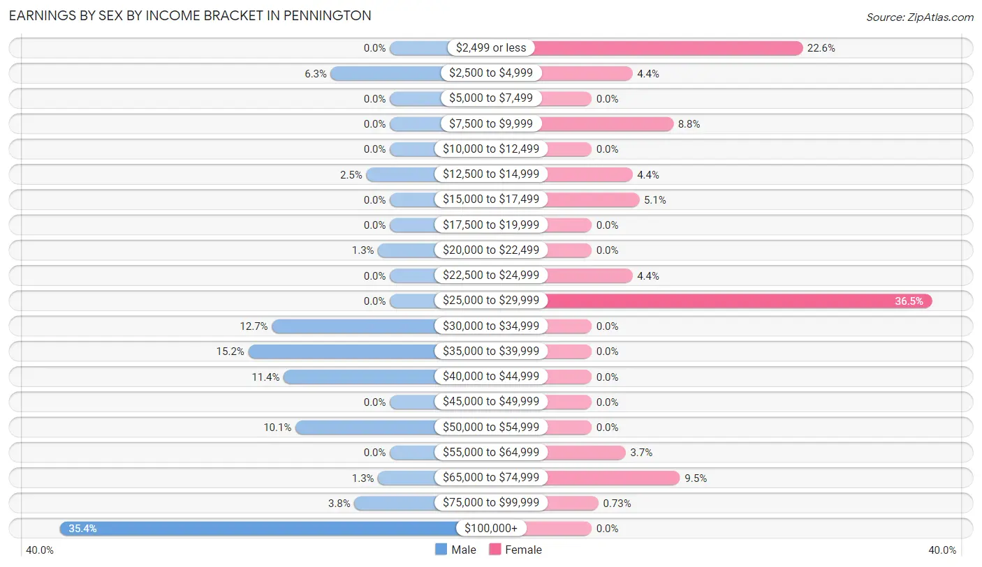 Earnings by Sex by Income Bracket in Pennington