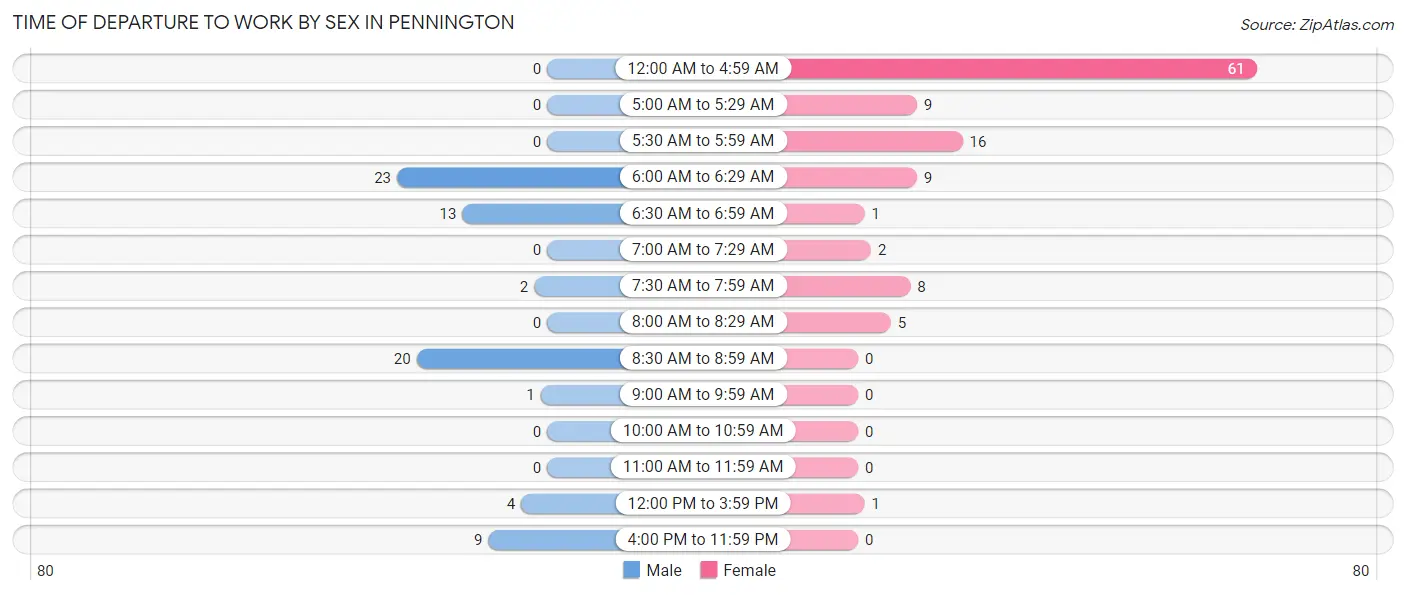 Time of Departure to Work by Sex in Pennington