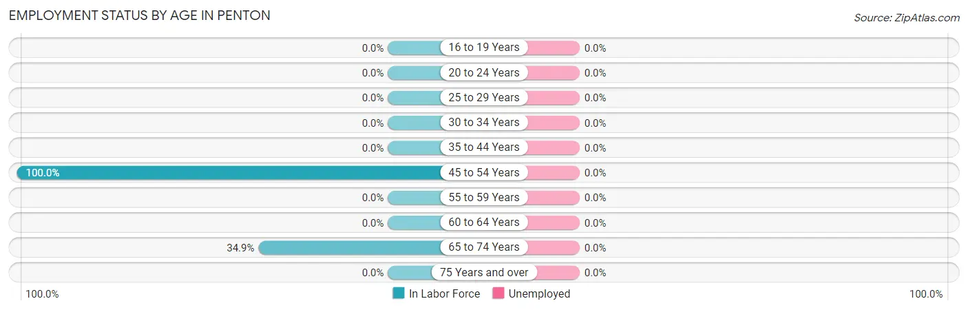 Employment Status by Age in Penton
