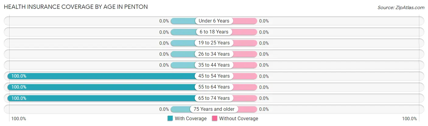 Health Insurance Coverage by Age in Penton