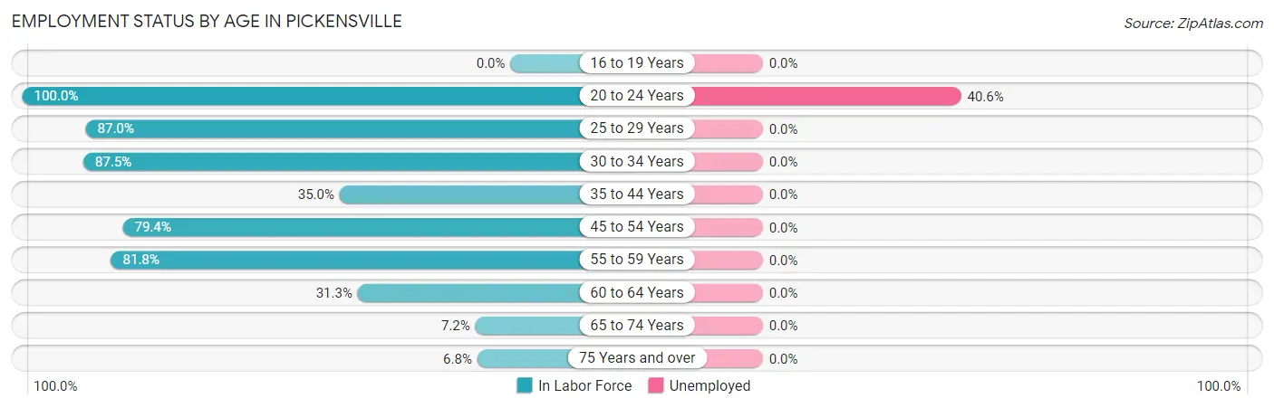 Employment Status by Age in Pickensville