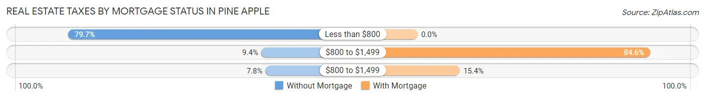 Real Estate Taxes by Mortgage Status in Pine Apple