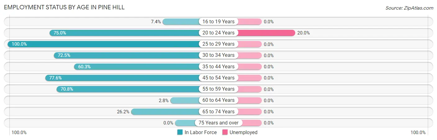 Employment Status by Age in Pine Hill