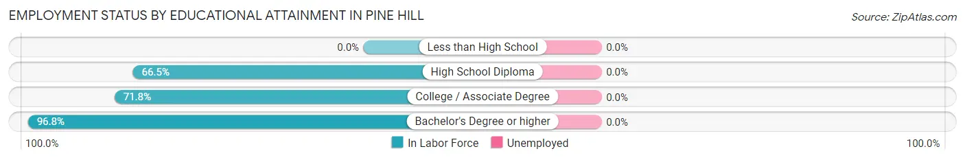 Employment Status by Educational Attainment in Pine Hill