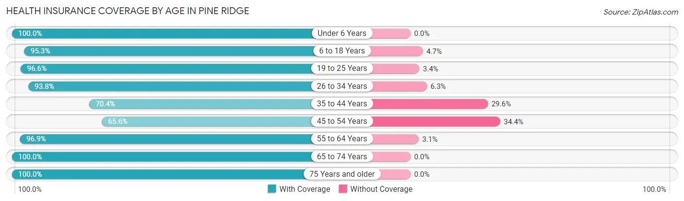 Health Insurance Coverage by Age in Pine Ridge