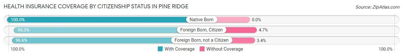 Health Insurance Coverage by Citizenship Status in Pine Ridge