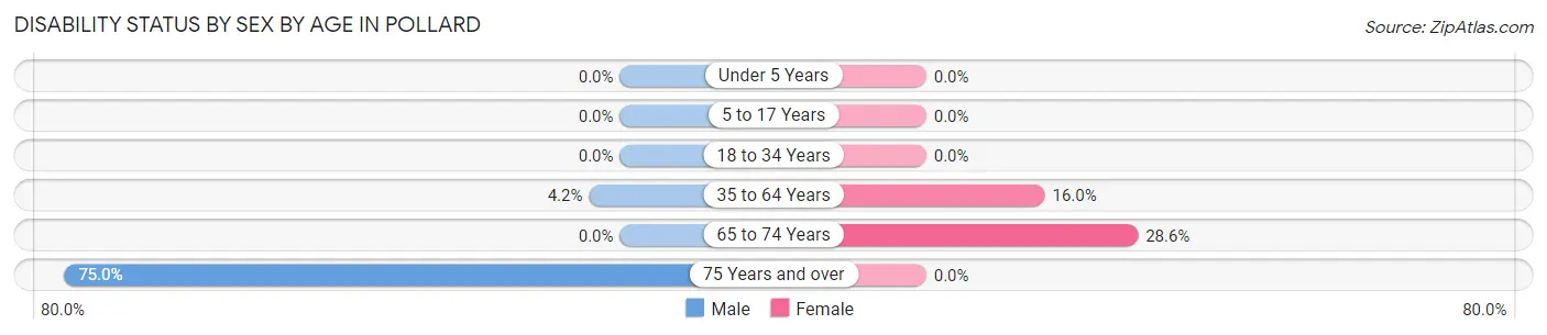 Disability Status by Sex by Age in Pollard