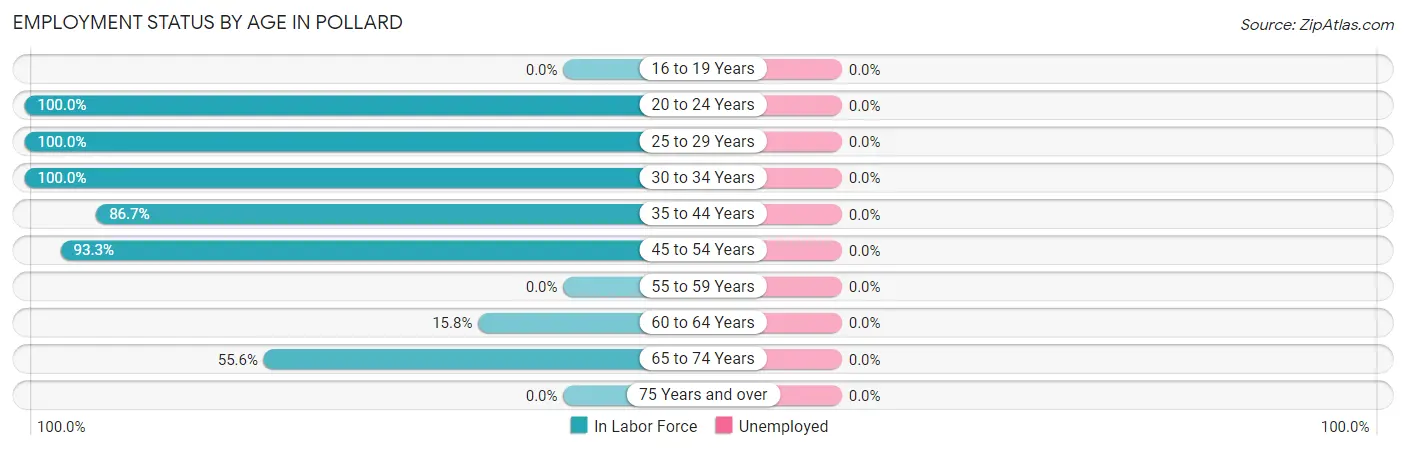 Employment Status by Age in Pollard