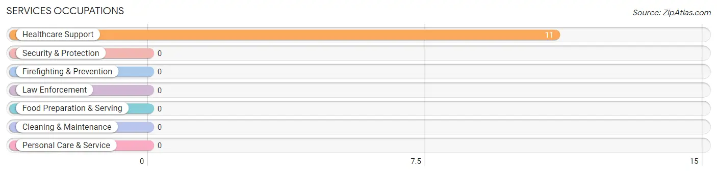 Services Occupations in Putnam