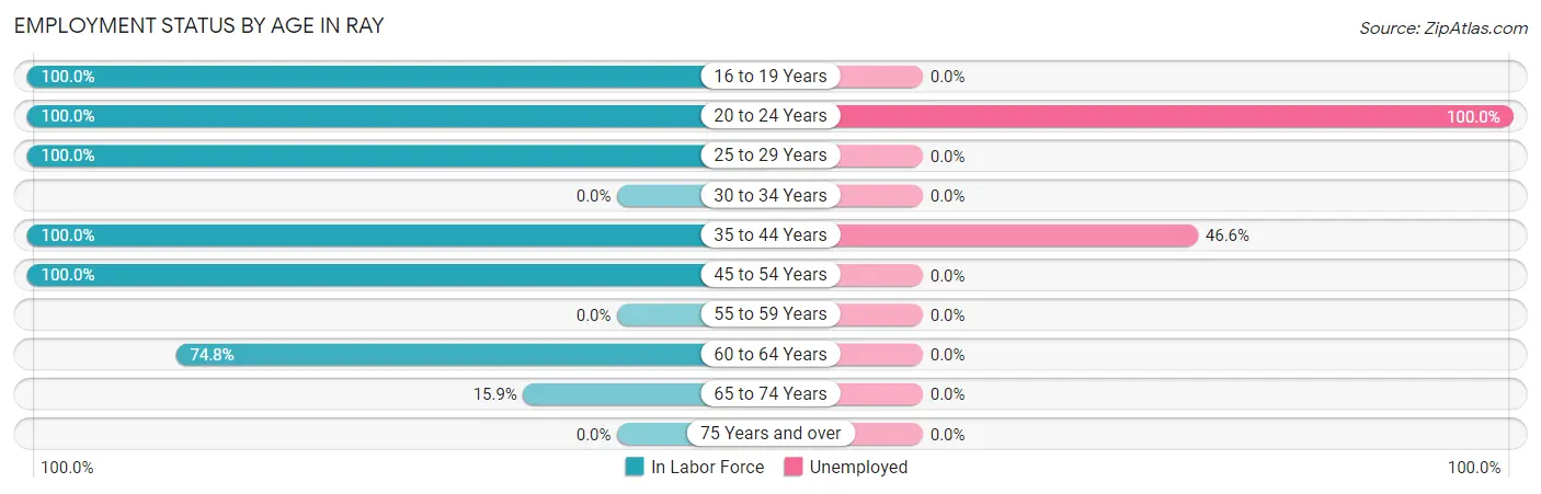 Employment Status by Age in Ray