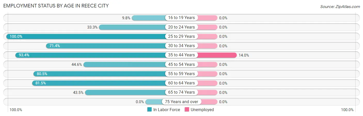 Employment Status by Age in Reece City