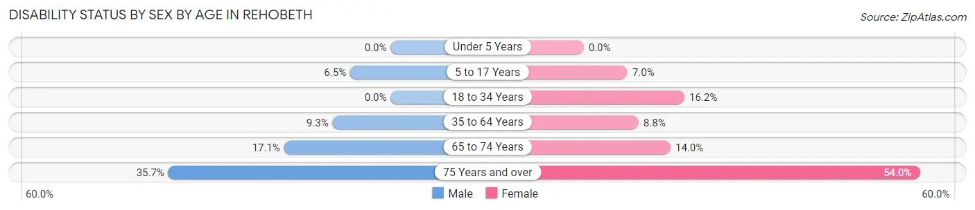 Disability Status by Sex by Age in Rehobeth