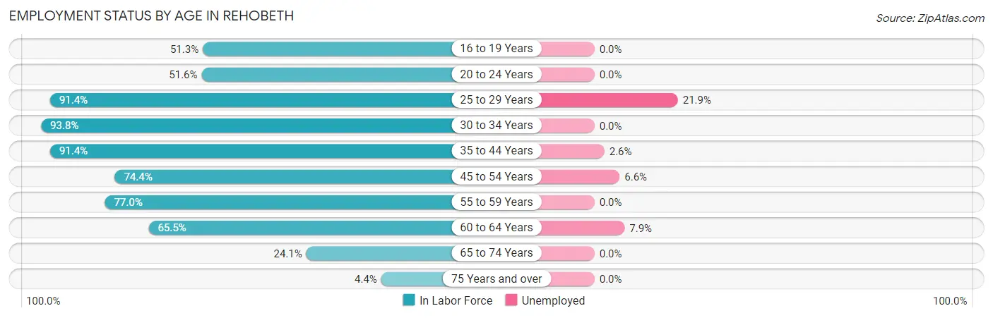 Employment Status by Age in Rehobeth