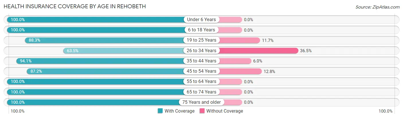 Health Insurance Coverage by Age in Rehobeth
