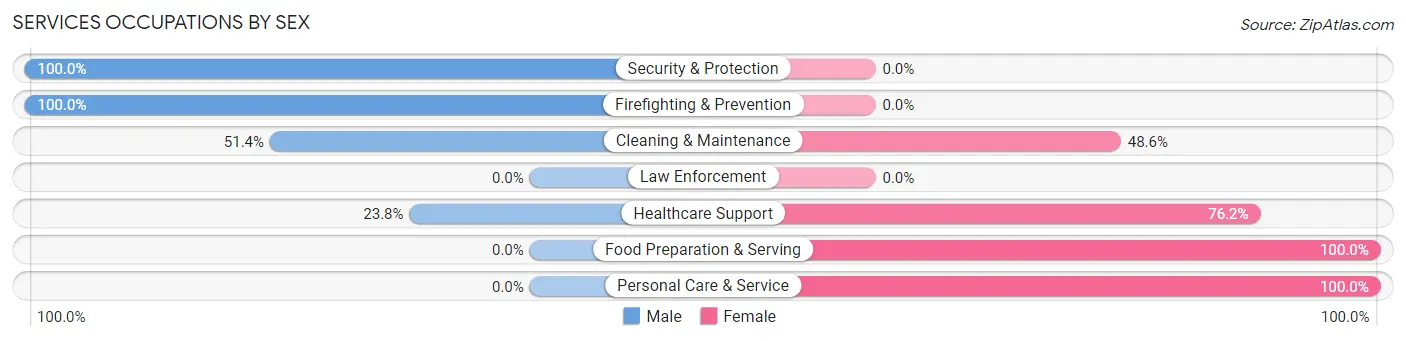 Services Occupations by Sex in Rehobeth