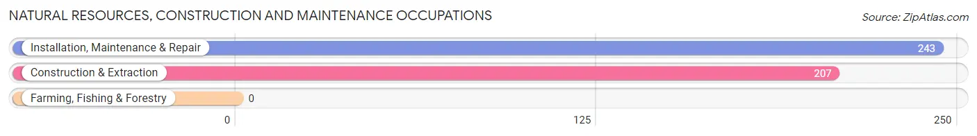 Natural Resources, Construction and Maintenance Occupations in Robertsdale