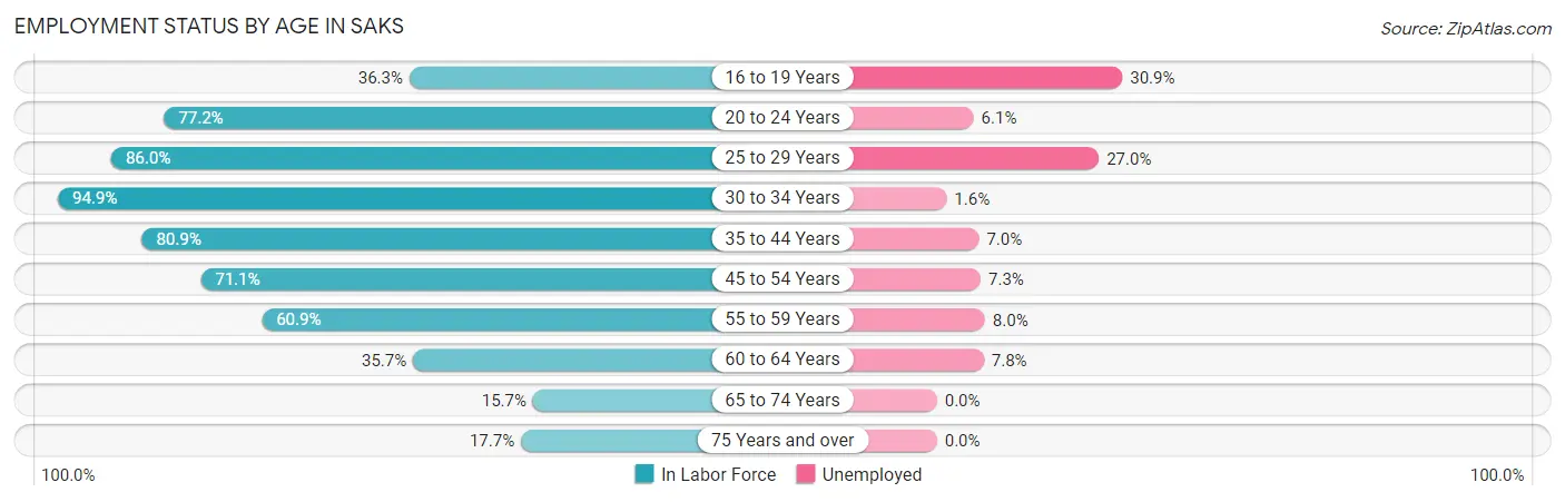 Employment Status by Age in Saks