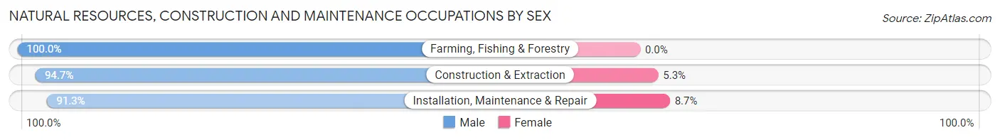 Natural Resources, Construction and Maintenance Occupations by Sex in Saks