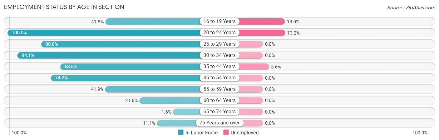 Employment Status by Age in Section