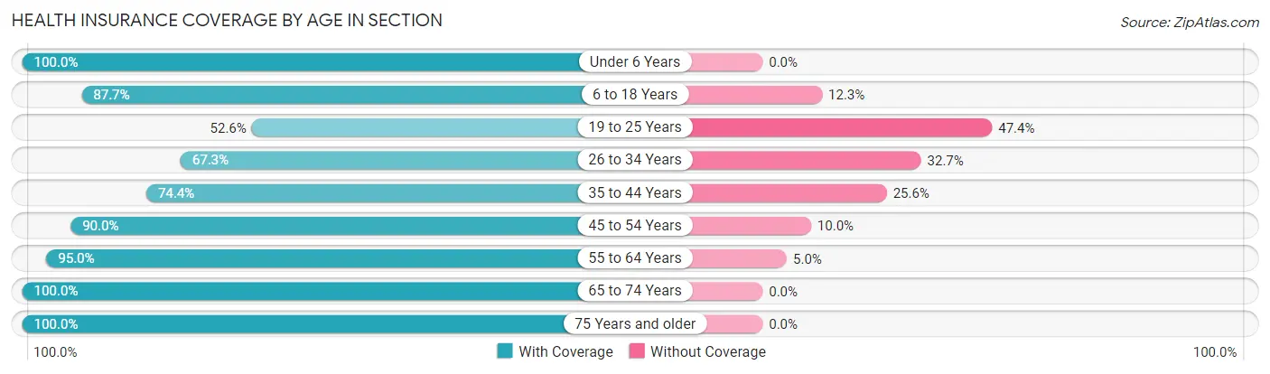 Health Insurance Coverage by Age in Section