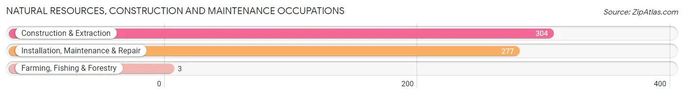 Natural Resources, Construction and Maintenance Occupations in Selma