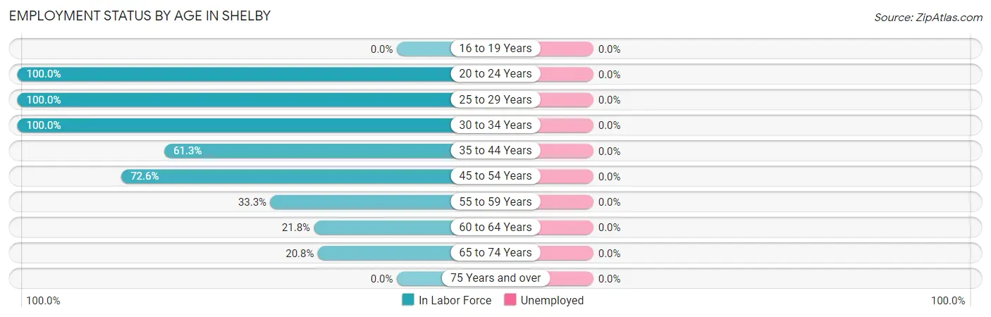 Employment Status by Age in Shelby