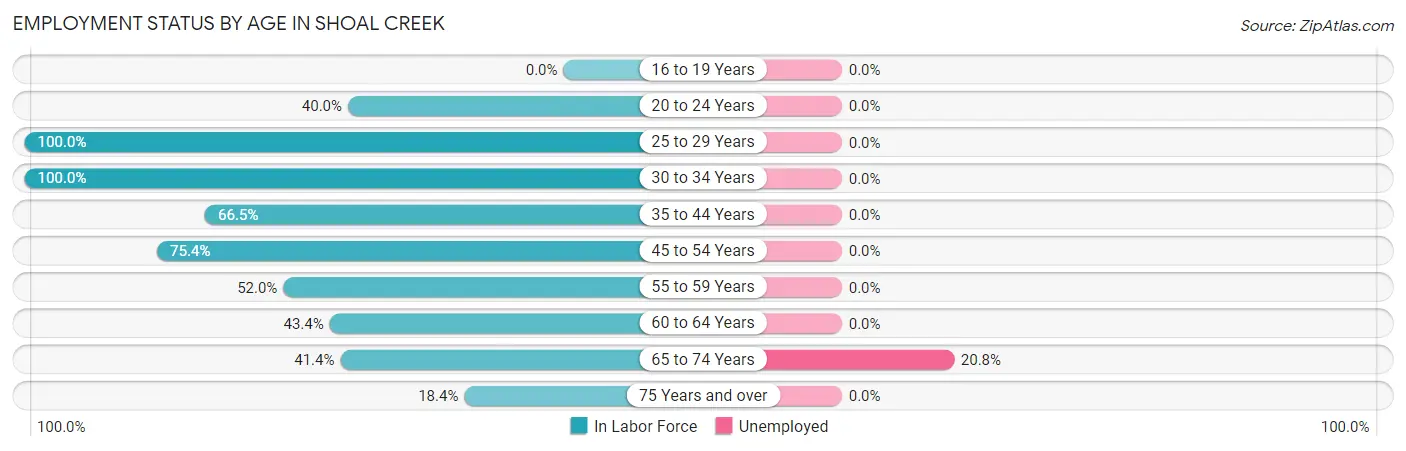 Employment Status by Age in Shoal Creek