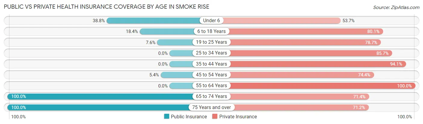 Public vs Private Health Insurance Coverage by Age in Smoke Rise