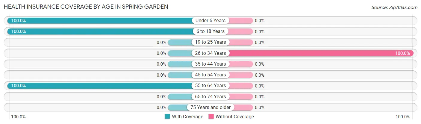 Health Insurance Coverage by Age in Spring Garden