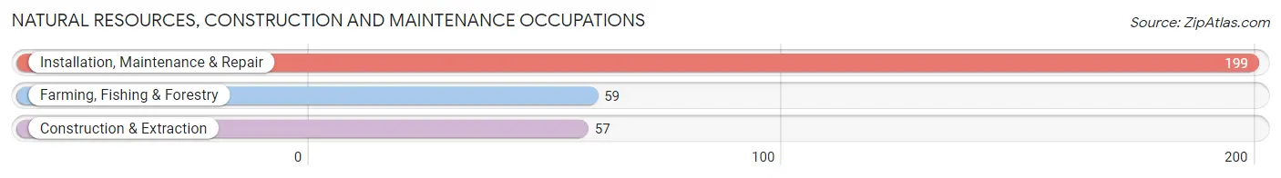 Natural Resources, Construction and Maintenance Occupations in Stapleton