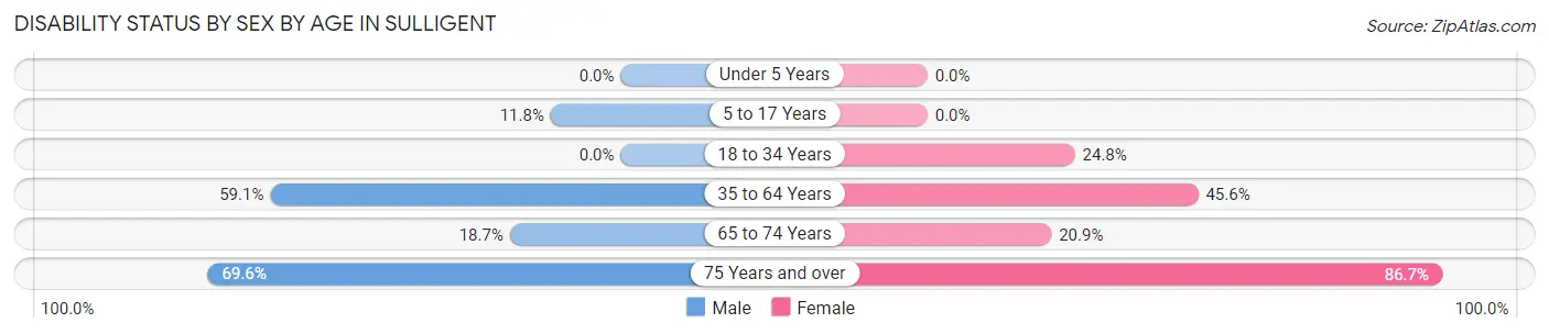 Disability Status by Sex by Age in Sulligent