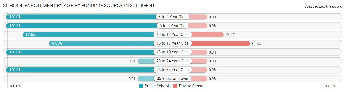 School Enrollment by Age by Funding Source in Sulligent