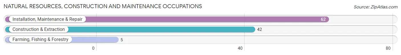 Natural Resources, Construction and Maintenance Occupations in Summerdale