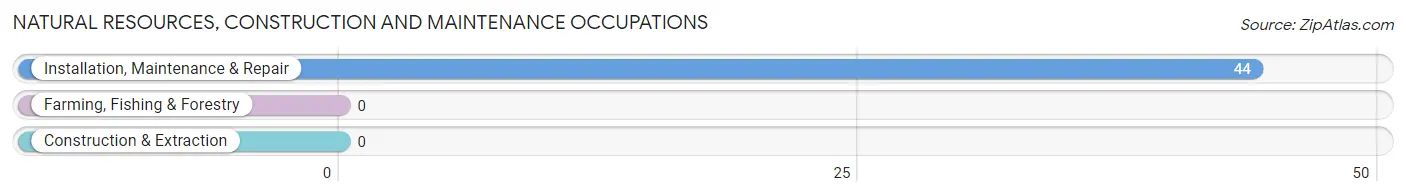 Natural Resources, Construction and Maintenance Occupations in Tidmore Bend