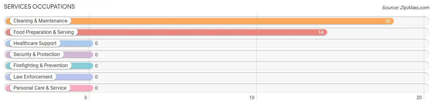 Services Occupations in Tidmore Bend